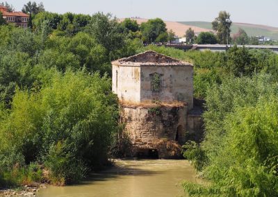 Moulin sur le Guadalquivir