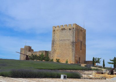 la forteresse de la Mota