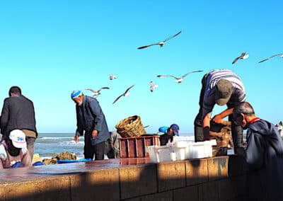 des pêcheurs à Essaouira