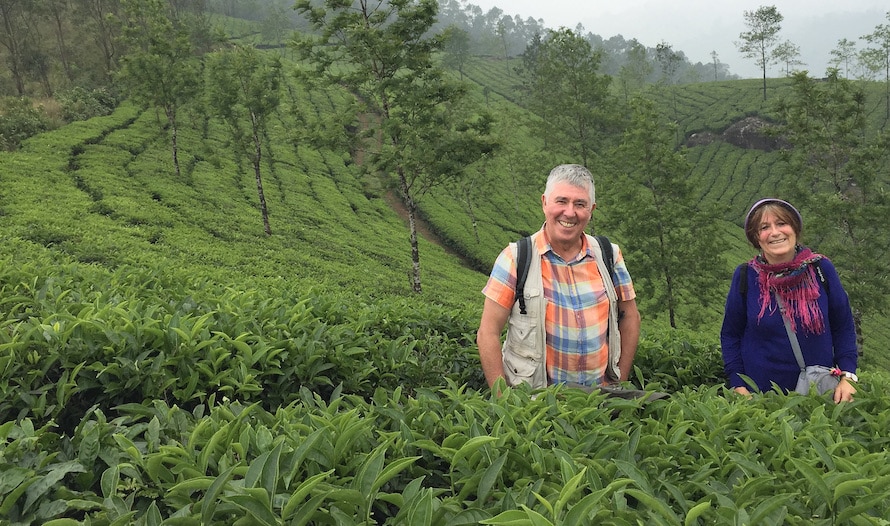 plantation de thé à Munnar