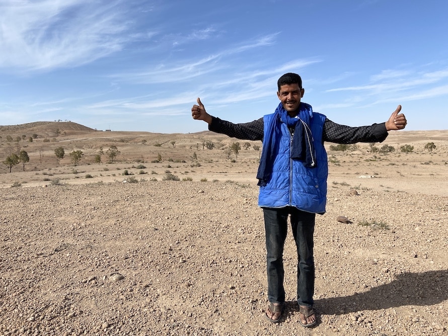chamelier dans le désert d'Agafay